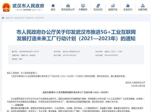建工业互联网标杆园,武汉3年内打造100家示范智能工厂