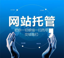 网站建设 常见的网站建设类型有哪些
