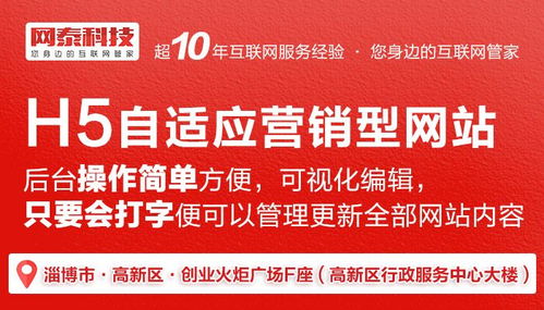 淄川营销型网站 莱州营销型网站模板 淄博网泰科技 诚信商家